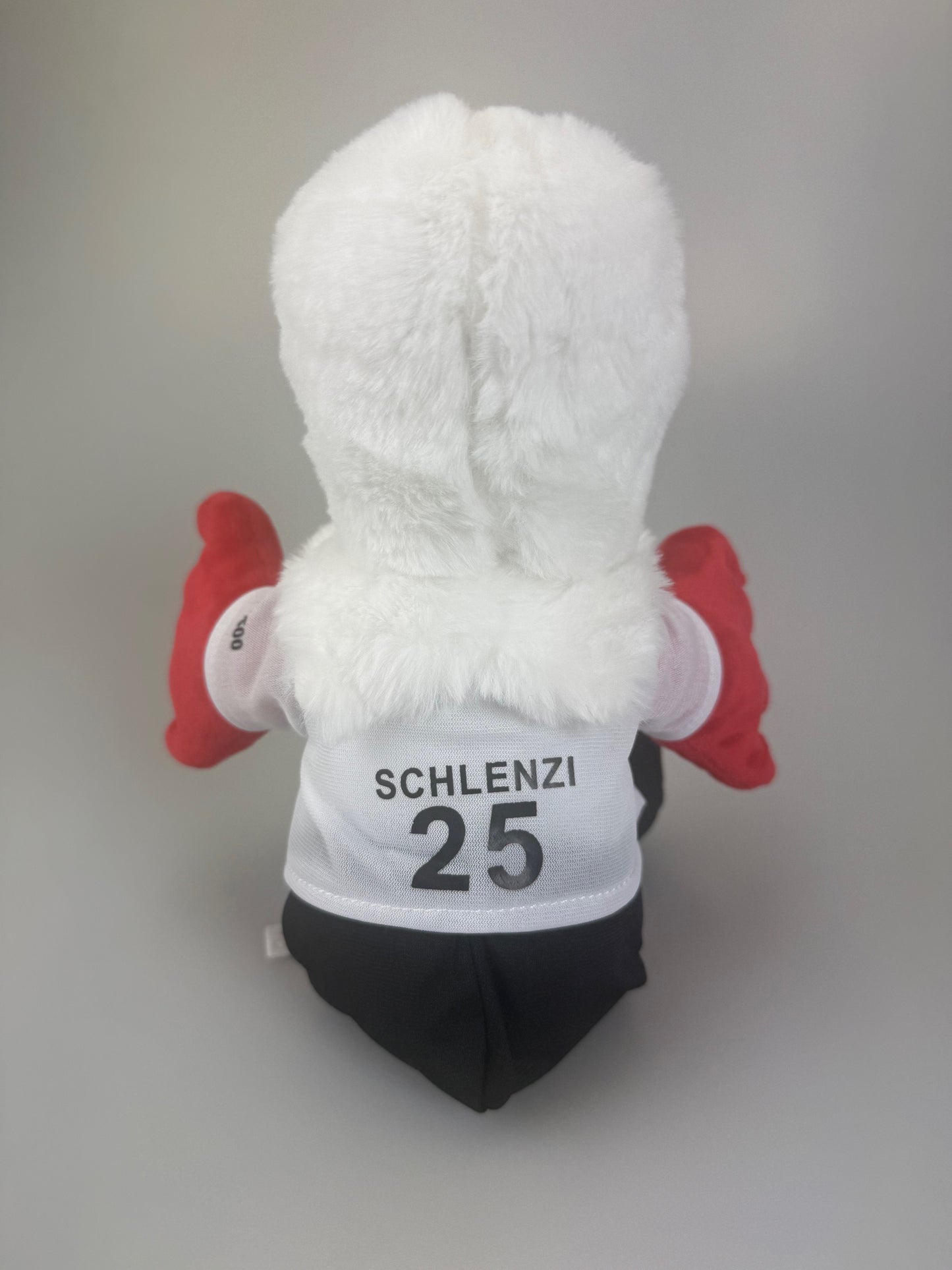 Schlenzi